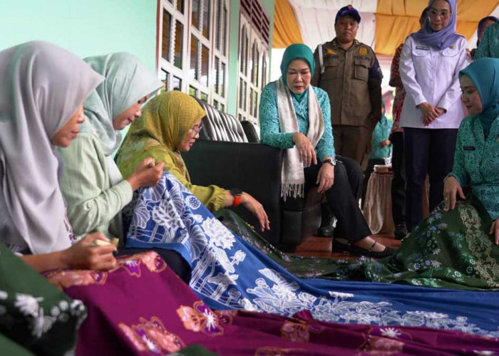 Ketua TP PKK Sumsel Feby Herman Deru Kagum Karya Perajin Lokal Batik Ramah Lingkungan di Lubuk Linggau