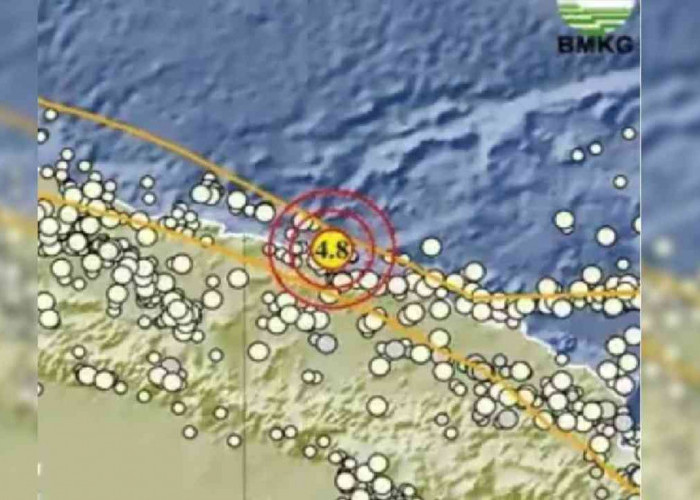 Update BMKG, Gempa 4.8 Magnitudo Guncang Keerom Papua, Cek Episentrum dan Kedalamannya