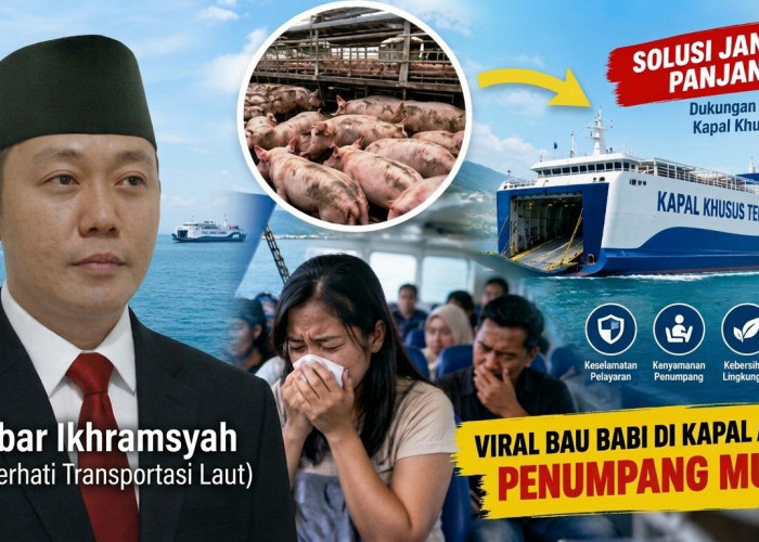 Viral Bau Babi di Kapal ASDP Bikin Penumpang Mual! Akbar Ikhramsyah Desak Kapal Khusus Ternak Masuk APBN
