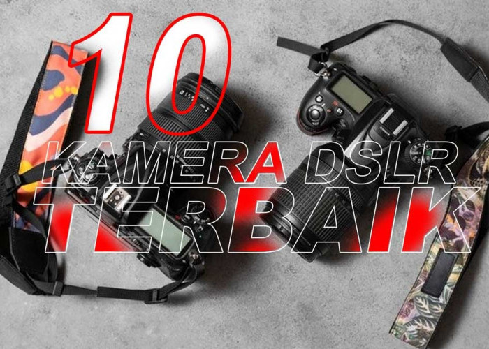 10 Kamera DSLR Terbaik Ini Harus Dimiliki Pecinta Fotografi Pilihan Favorit baik Pemula Dan Profesional!