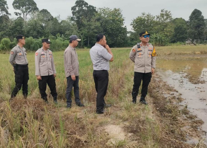 Polsek Sanga Desa Siapkan Lahan Sawah 141 Hektar, Dukung Program Presiden Prabowo Subianto