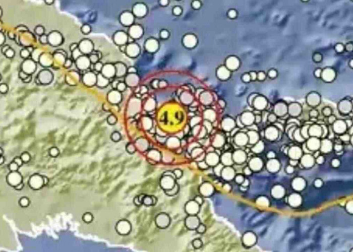 Update BMKG, Gempa Magnitudo 4.9 Guncang Pegunungan Bintang Papua, Tak Berpotensi Tsunami
