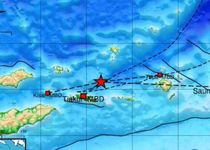 Gempa 4.4 Magnitudo Guncang Maluku Barat Daya, Tak Berpotensi Tsunami, Cek Episentrumnya