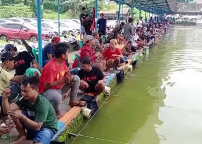 Anda Sering Boncos Mancing ikan Mas? Coba Pakai 4 Jenis Umpan Berikut Ini