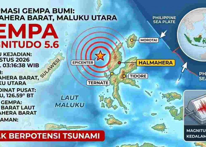 Gempa Magnitudo 5,6 Guncang Halmahera Barat Pagi Ini, BMKG: Tak Berpotensi Tsunami