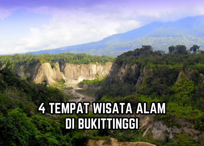 Pilihan Sempurna Liburan Akhir Tahun, Ini 4 Tempat Wisata Alam di Bukittinggi, Bisa Lihat Flora Langka