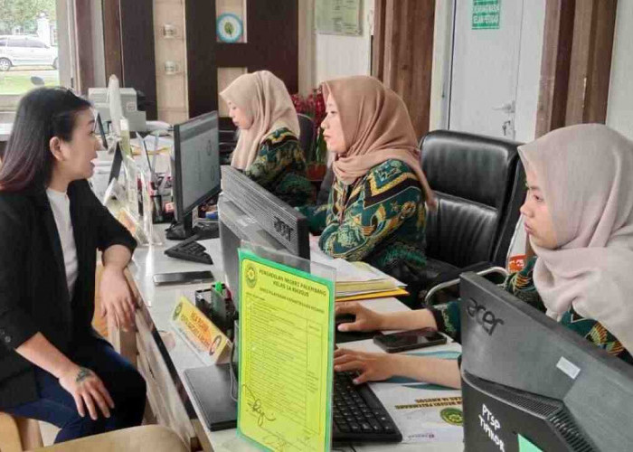 Perkara Masih Proses Sidang, Tina Francisco Minta PN Palembang Batalkan Eksekusi