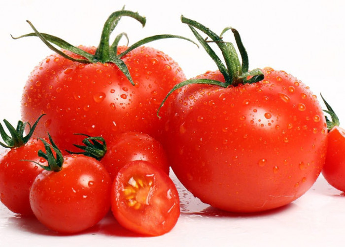 6 Manfaat Tomat untuk Kesehatan Yang Sangat Wajib Kamu Ketahui 