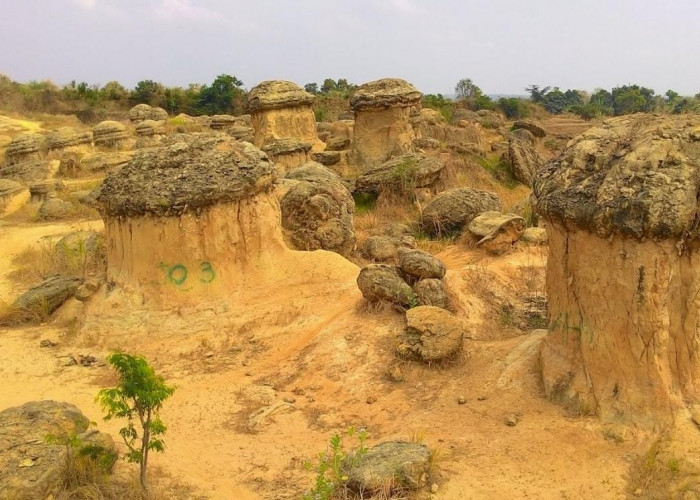 Namanya Bukit Jamur, Ada Misteri 'Bumi Menjerit' yang Konon Jadi Lokasi Turunnya Alien