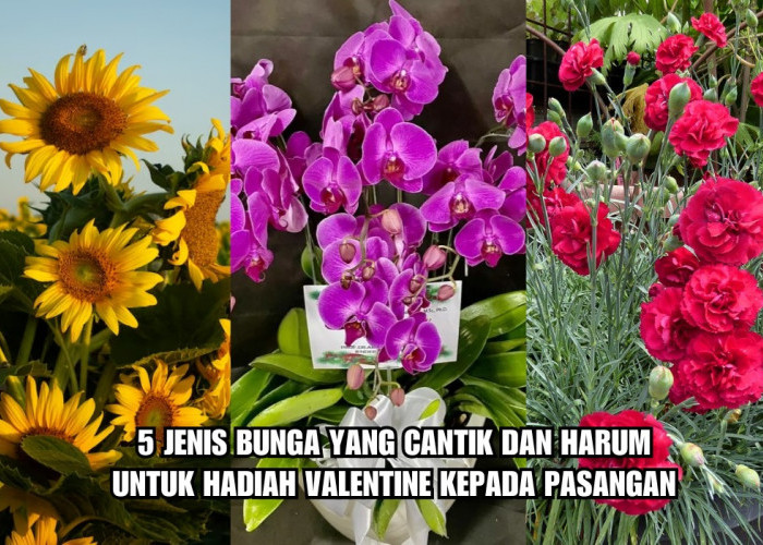 Tak Hanya Mawar, Ini 5 Jenis Bunga yang Cantik dan Harum dan Penuh Makna, Cocok untuk Hadiah Valentine 