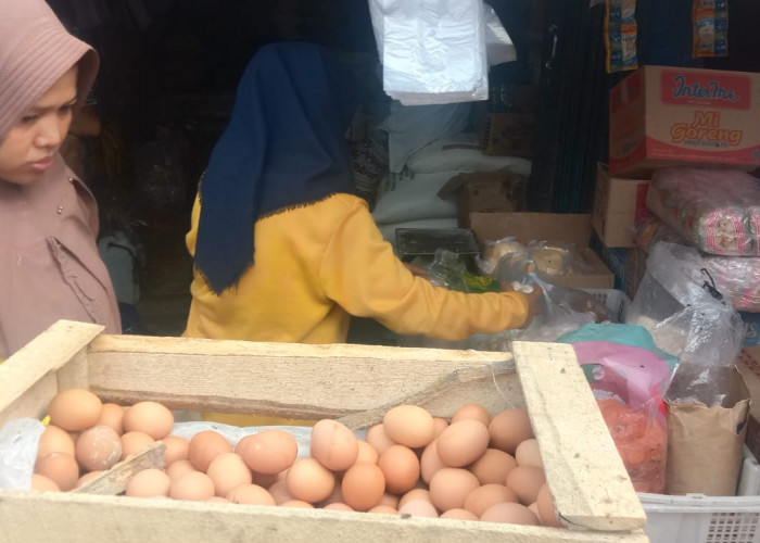 Jelang Natal dan Tahun Baru 2023, Harga Telur Ayam di Kabupaten PALI Terus Naik
