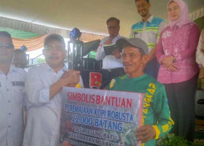 Teknologi Solar Dryer Hadir di Mulak Ulu, Cara Baru Pemkab Lahat Jamin Mutu Kopi Tetap Unggul