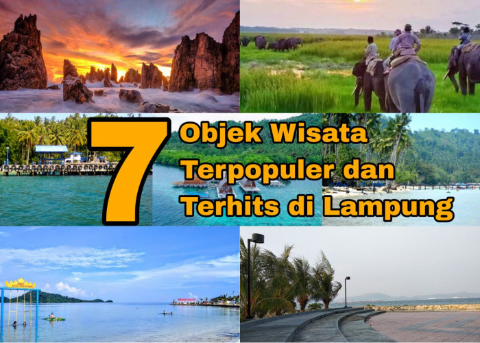 7 Objek Wisata Alam Terpopuler dan Terhits di Lampung, Kamu Bisa Berinteraksi dengan Gajah