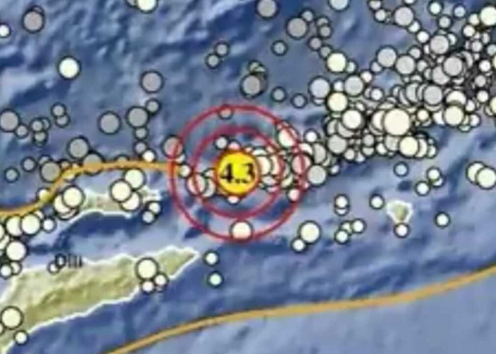 Update BMKG, Gempa Magnitudo 4.3 Guncang Maluku Barat Daya, Tak Berpotensi Tsunamii