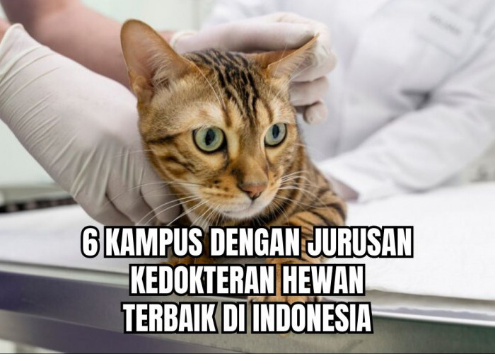 Pecinta Hewan Merapat! Ini 6 Kampus dengan Jurusan Kedokteran Hewan Terbaik di Indonesia, Akreditasi A!