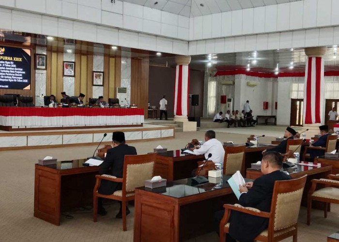 Simak! Jawaban Wabup Ogan Ilir Terkait 2 Aturan Baru yang Bakal Menguntungkan Pelaku Usaha Kecil