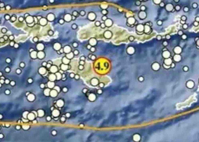Pagi Ini Indonesia Diguncang Rentetan Gempa! Waingapu M 4,9 Jadi yang Terkuat