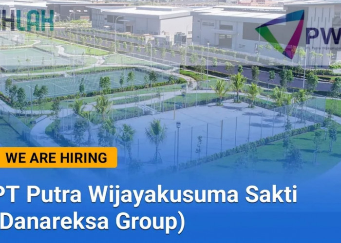 Lowongan Kerja BUMN Group PT Putra Wijayakusuma Sakti (Danareksa Group) untuk Fresh graduate/Berpengalaman