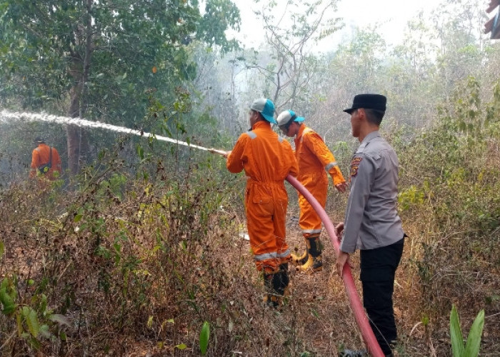 Api Lahap Lahan Semak Belukar di Tanah Abang, Polsek Batanghari Leko Turun Tangan