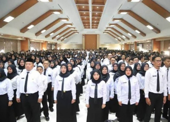 TEGAS! Pemerintah Siap Selesaikan Nasib Honorer Lewat Skema PPPK Paruh Waktu