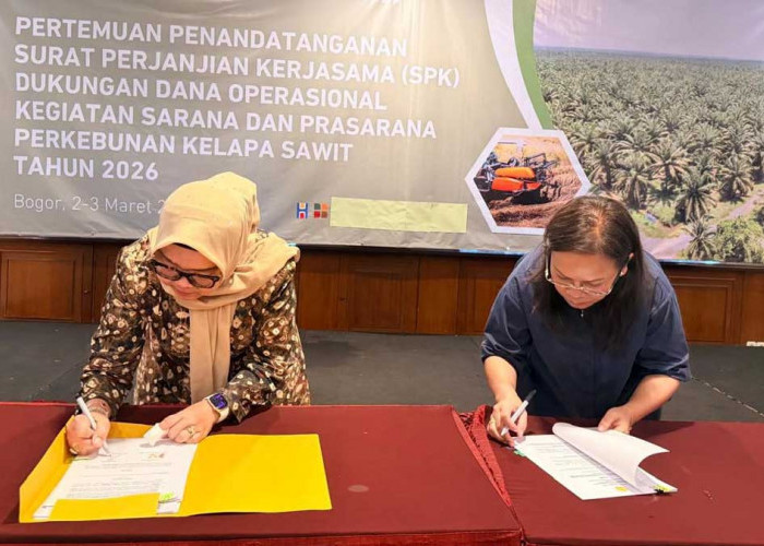 Target 1.045 Hektare: Disbun Lahat Fasilitasi Bantuan Alat & Mesin Sawit untuk 102 Kelompok Tani