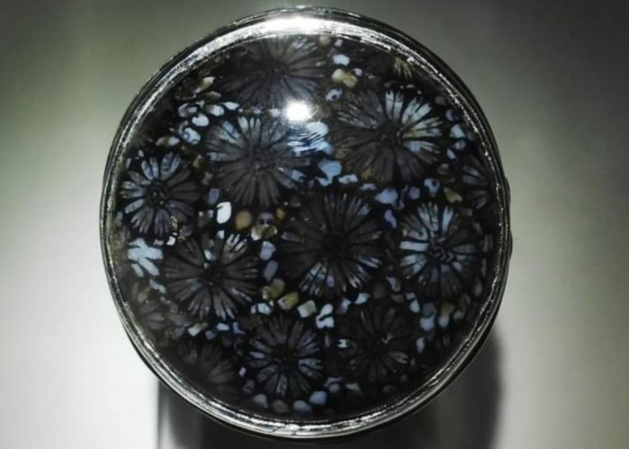 Pesona Batu Akik Teratai Hitam Muratara, Paling Langka dan Sulit Ditemui