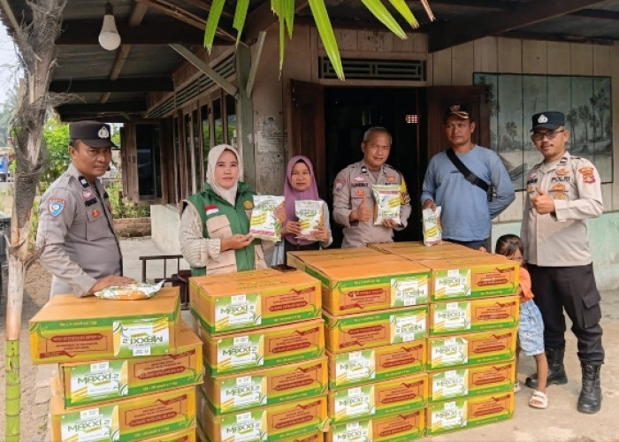 Bantu Petani Tingkatkan Hasil Panen, Polsek Sanga Desa Dampingi Penyerahan Bibit Jagung 