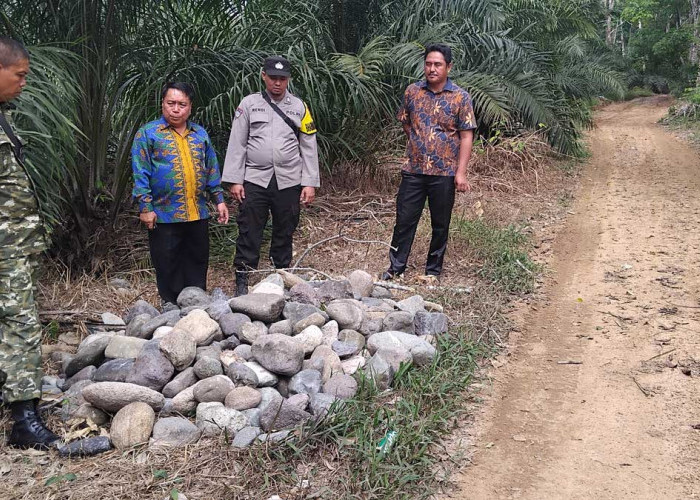 Permudah Mobilitas Angkut Hasil Kebun, Pemdes Beringin Jaya Lahat Bangun Jalan Usaha Tani Sepanjang 260 Meter