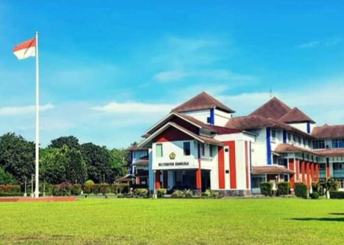 11 Universitas Terbaik dan Terpopuler di  Bengkulu 2023 Versi Webometrics, Tempat Kuliahnya Berkualitas