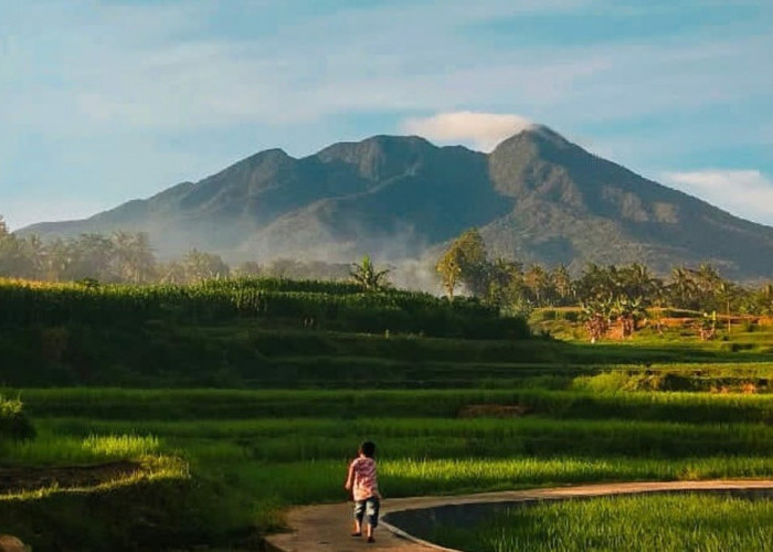 Miliki 10 Provinsi, Hanya 4 Provinsi Punya Gunung Masih Aktif di Sumatera, Salah Satunya di Sumatera Selatan