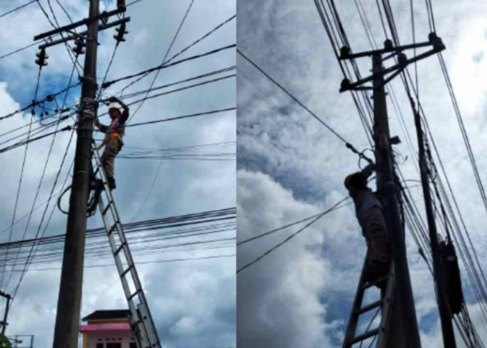 PLN Icon Plus SBU Regional Sumbagsel Rapikan Kabel di Bengkulu dan Sumsel