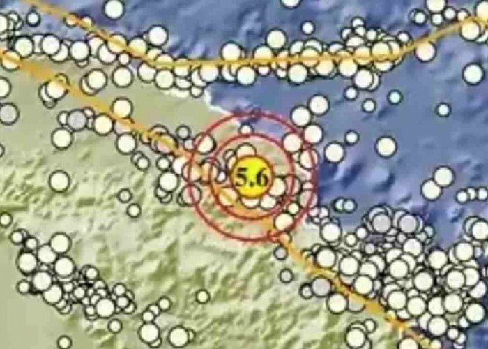 Rangkaian Gempa Dinihari di Indonesia: Papua Terkuat, Capai Magnitudo 5,6!