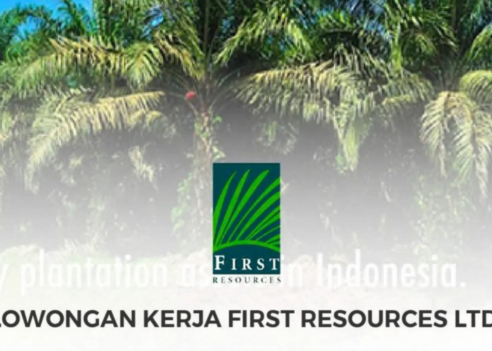 8 Lowongan Kerja Terbaru First Resources Group Ltd Produsen Minyak Sawit Terbesar Kalimantan Daftar Di Sini