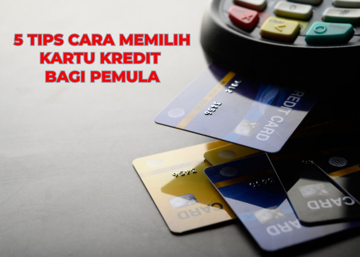 Mau Punya Kartu Kredit? Jangan Lupa Ikuti 5 Cara Memilih Kartu Kredit Bagi Pemula