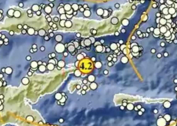 Update BMKG: Gempa 4.2 Magnitudo Guncang Banggai Kepulauan Sulteng, Ini Lokasi Episentrumnya