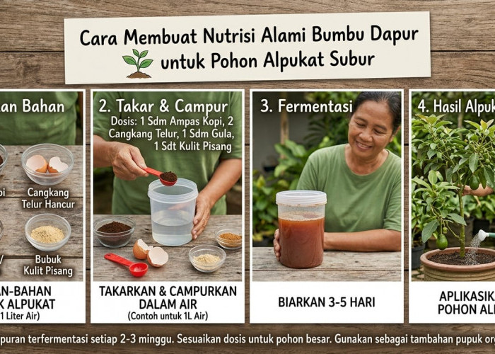 Bikin Pohon Alpukat Berbuah Lebat dan Padat Cuma Pakai Racikan Bumbu Dapur Sederhana, Mau Coba?