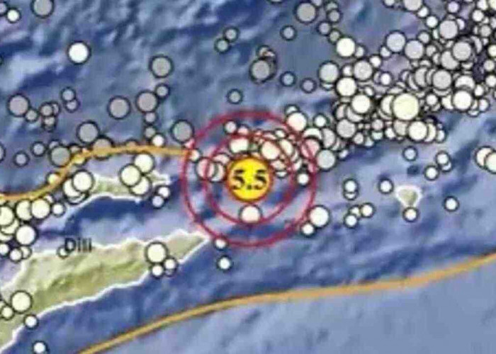 Gempa Magnitudo 5,5 Pagi Ini Guncang Maluku Barat Daya, Tak Berpotensi  Tsunami
