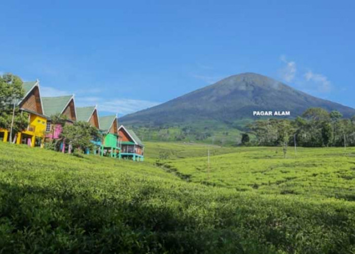 Liburan Alam di Sumsel Gunung Ini Bisa Jadi Pilihan Menarik