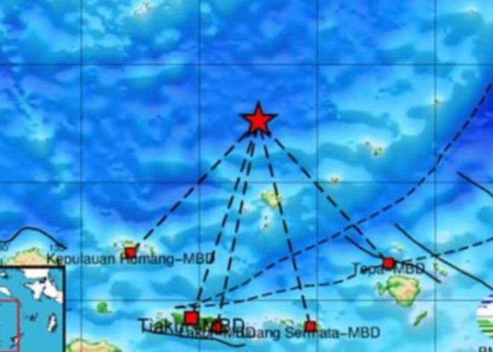 Pagi Ini Gempa 4.9  Magnitudo Terjadi di Maluku Barat Daya, Cek Update Pusat Gempa Regional IX Ambon