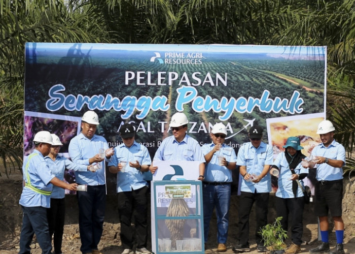 PT PAR Lepas Ribuan Serangga Tanzania di Sumsel untuk Memperkuat Ketahanan Penyerbukan Kelapa Sawit 