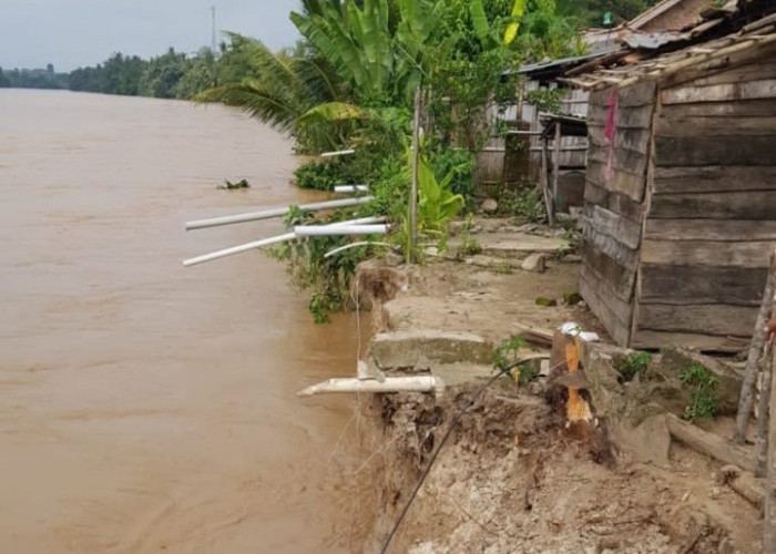 Tanah di Pinggir Sungai Komering Terus Terkikis, Warga di Desa OKU Timur Ini Harus Waspada
