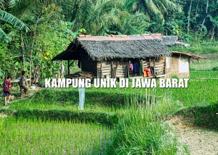 Kampung Unik di Jawa Barat, Seluruh Warga Makan Singkong Untuk Gantikan Nasi, Alasannya Bikin Terharu