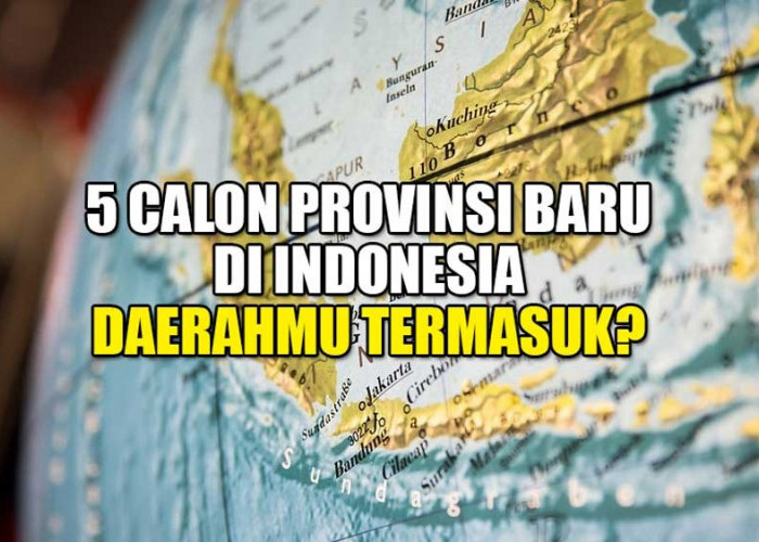 Inilah 5 Calon Provinsi Baru di Indonesia, Ada Papua Utara, Daerahmu Termasuk?