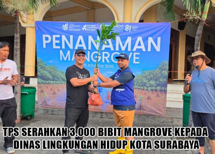 3.000 Bibit Mangrove untuk Tambak Sarioso, TPS Perkuat Aksi Hijau Surabaya