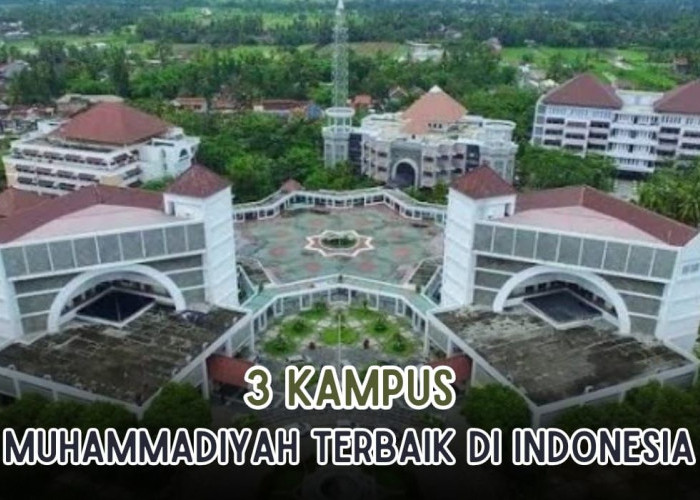 3 Kampus Muhammadiyah Terbaik di Indonesia versi UniRank 2023, Ada Kampusmu?