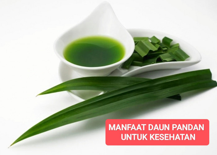 Selain Wangi, Daun Pandan Juga Punya 7 Manfaat untuk Kesehatan, Salah Satunya Ini? 