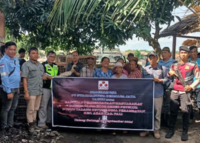 PT SDJ Salurkan CSR, Masyarakat Telang Betutu Dapat Bantuan Budidaya 500 Ekor Bebek Petelur