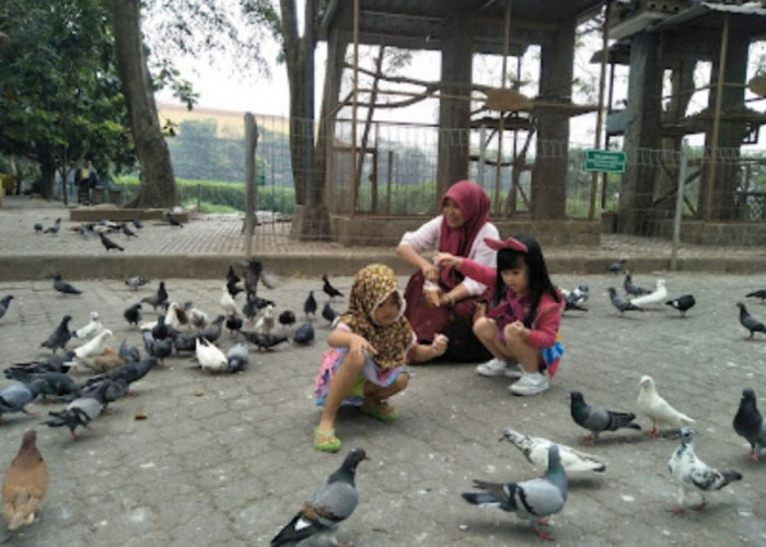 Bikin Anak Istri Senang Tidaklah Mahal, Ada 4 Tempat Wisata Terbaru dan Gratis di Medan