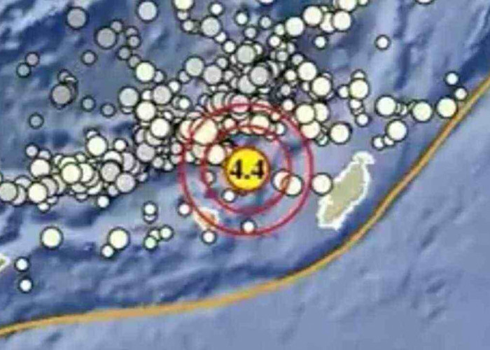 Gempa  Magnitudo 4.4 Guncang Maluku Tenggara Barat, Tak Berpotensi Tsunami