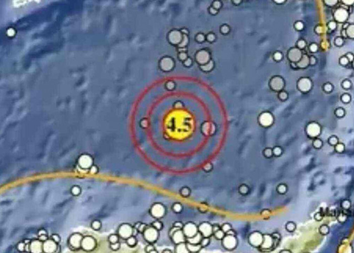 Sulut hingga NTB Digoyang Gempa Pagi Ini, Ada yang Capai Magnitudo 4,5!